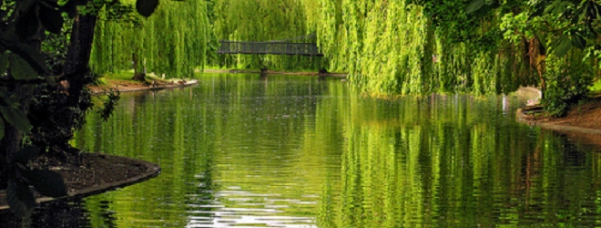 original_nature-1.jpg